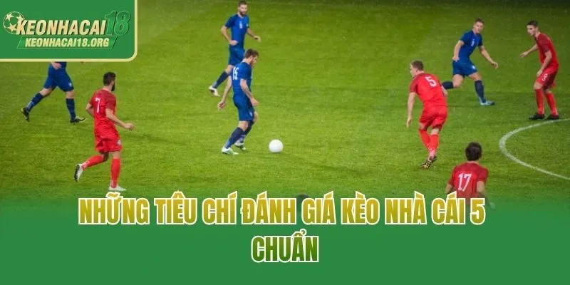 Những tiêu chí đánh giá kèo nhà cái 5 chuẩn